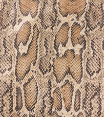 Bold Impression Snake Print Wrap Skort