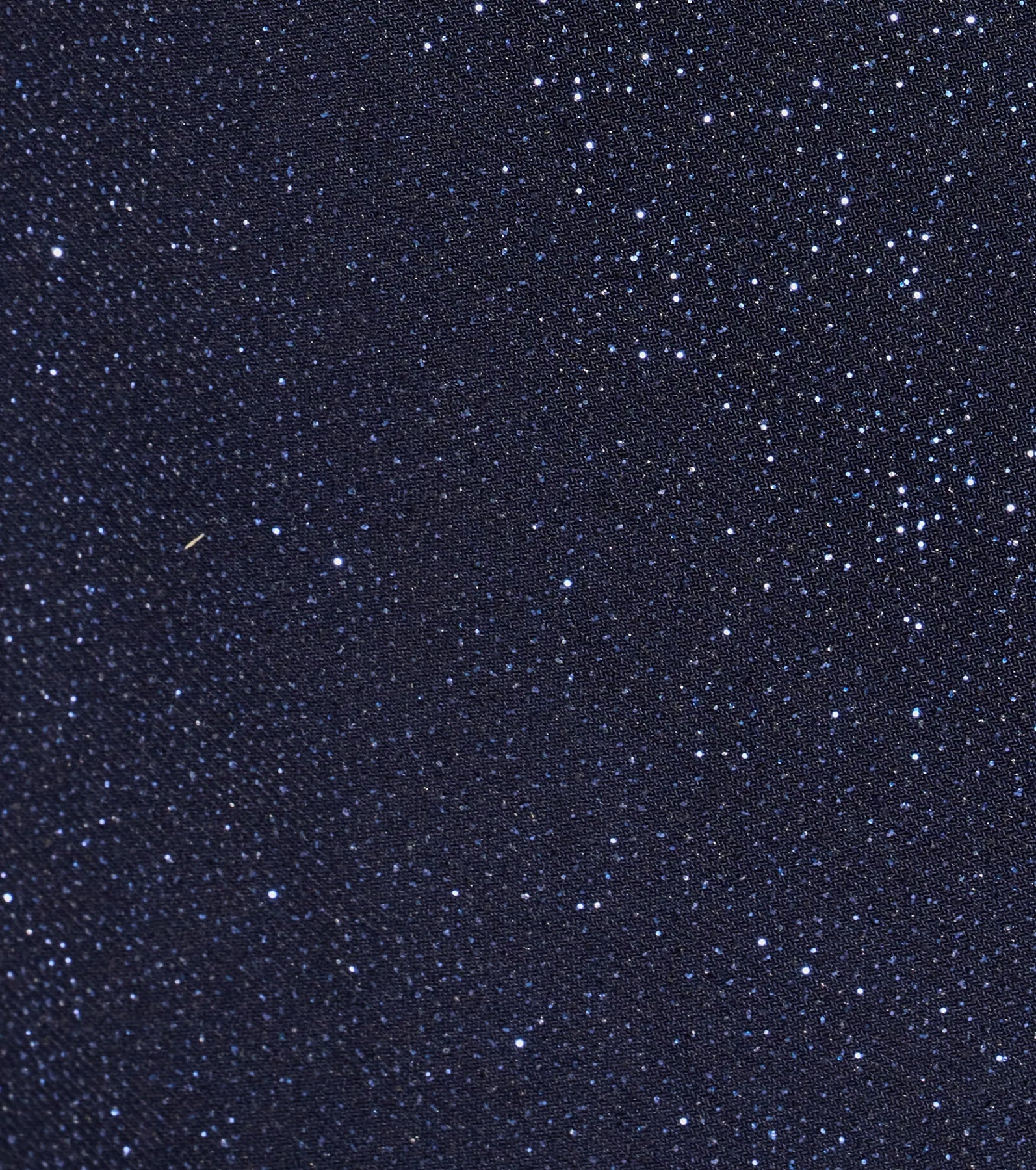 Glittery Beauty Flare Sleeve A-Line Mini Dress