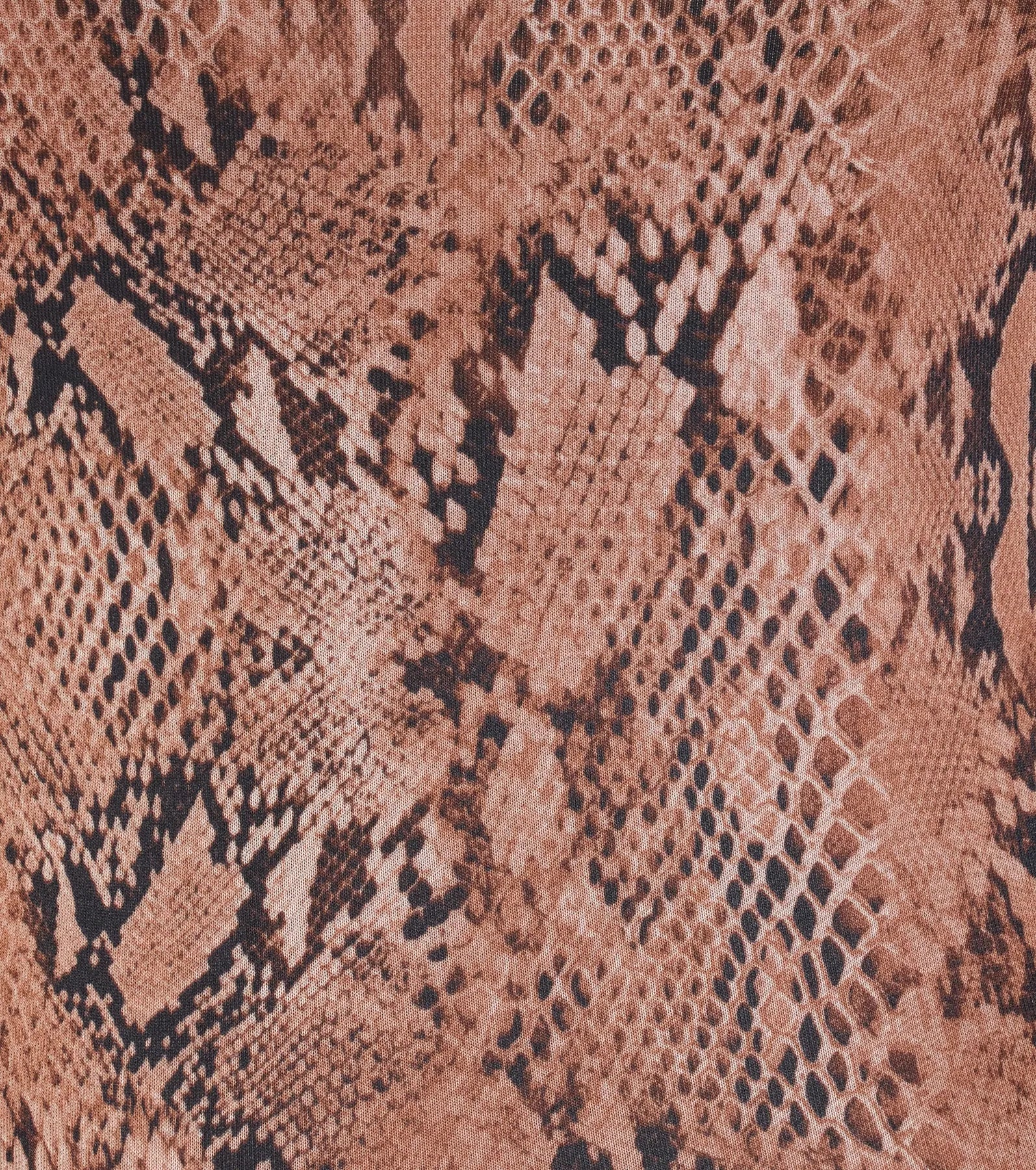 Wildly Charming Snake Print Crop Top