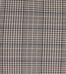 Posh Cutie Bow Trim Plaid Mini Skirt