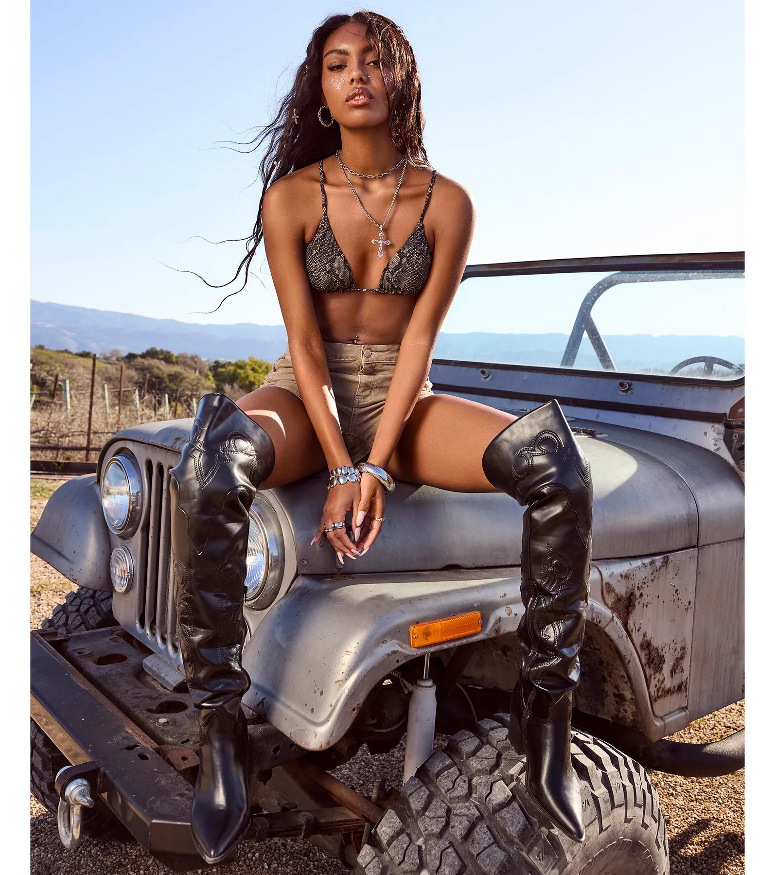 Sleek Western Vibe Thigh High Cowboy Boots